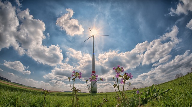 10 nachhaltige Berufe im Sektor der erneuerbaren Energien